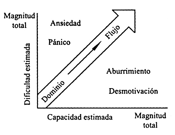 Teoría del flujo Teoria del flujo
