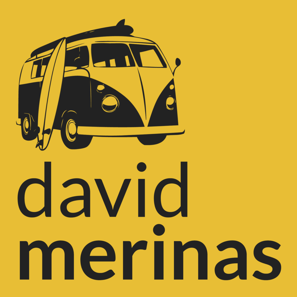 logo david merinas